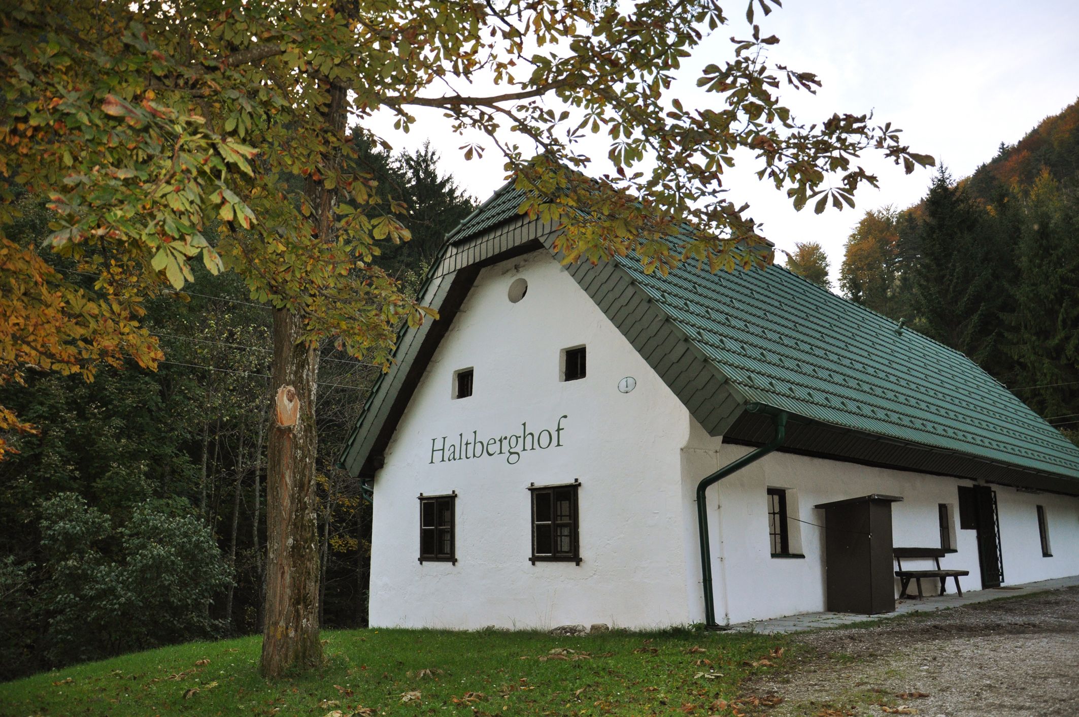 Weißes Ferienhaus mit grünem Dach im Wald, beschriftet mit 'Haltberghof'.