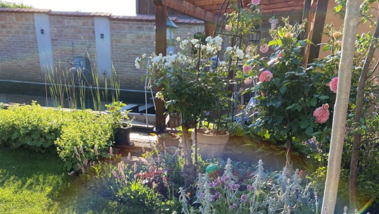 Ein bl&uuml;hender Garten mit Rosen, Lavendel und anderen Pflanzen bei Sonnenschein.