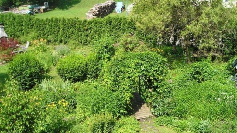 Wienerwaldoase, &copy; Wienerwaldoase