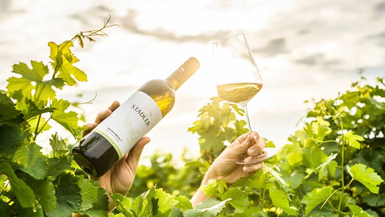 Eine Hand h&auml;lt eine Weinflasche, eine andere ein Weinglas in einem Weinberg bei Sonnenlicht.