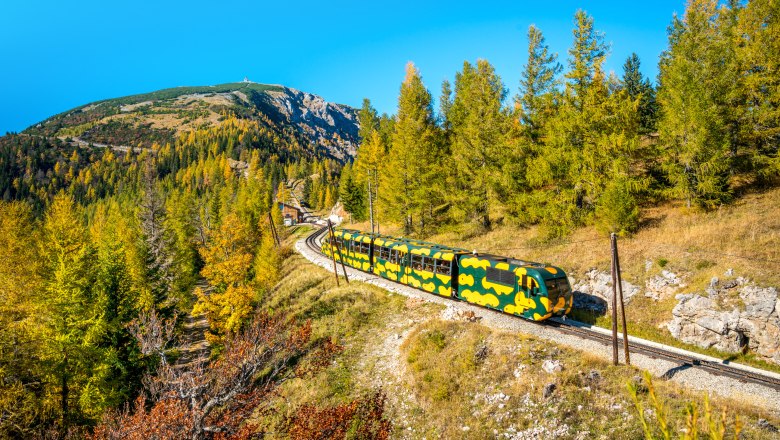 Ein Zug im Salamander-Design f&auml;hrt durch eine herbstliche Berglandschaft mit blauem Himmel.