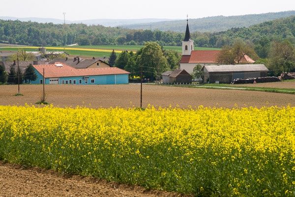 Weiden bei Rechnitz