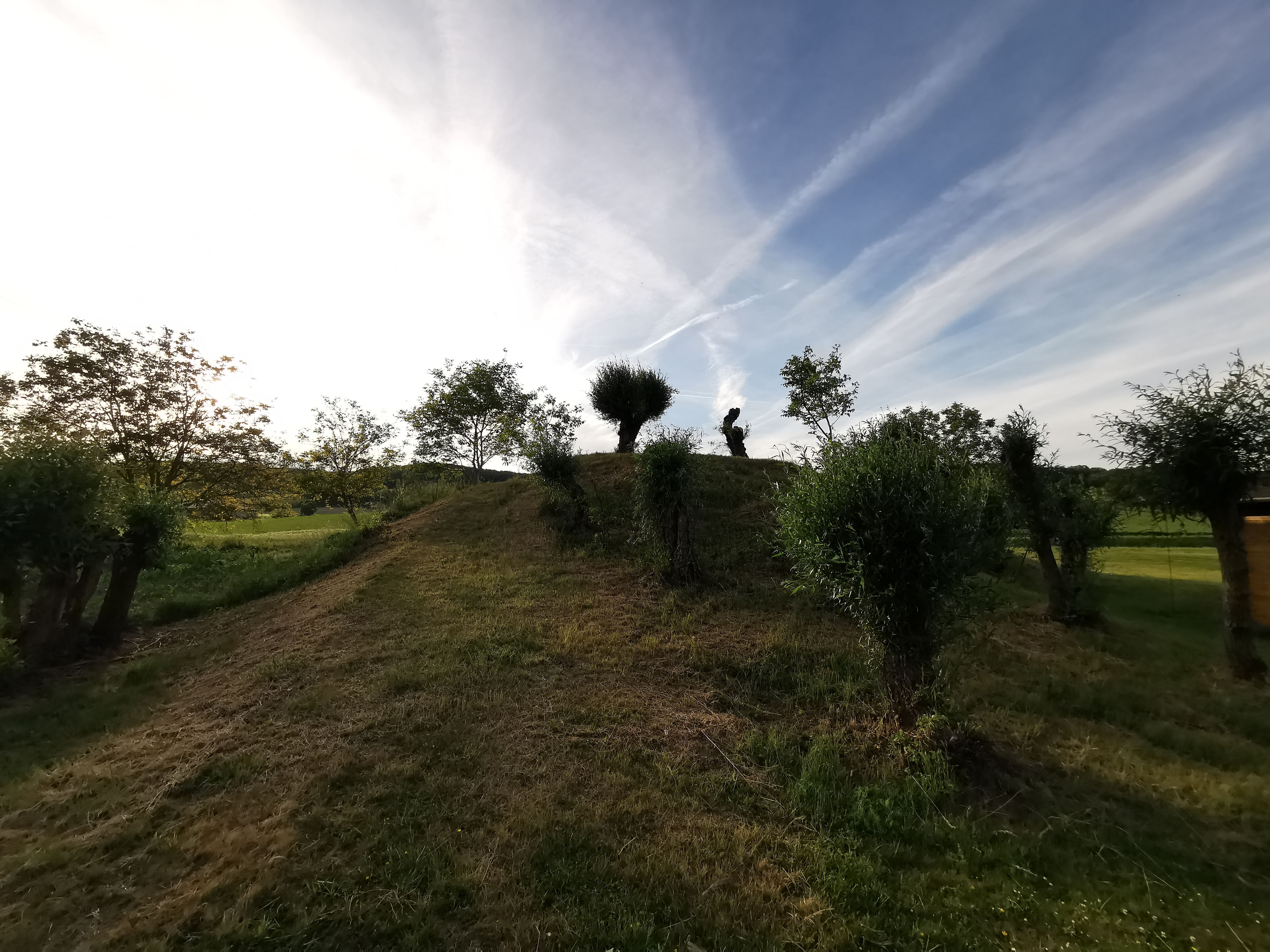 Weidenspielplatz