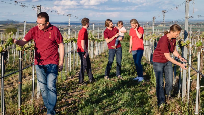 Familie Amon bei der Weinlese, &copy; Familie Amon