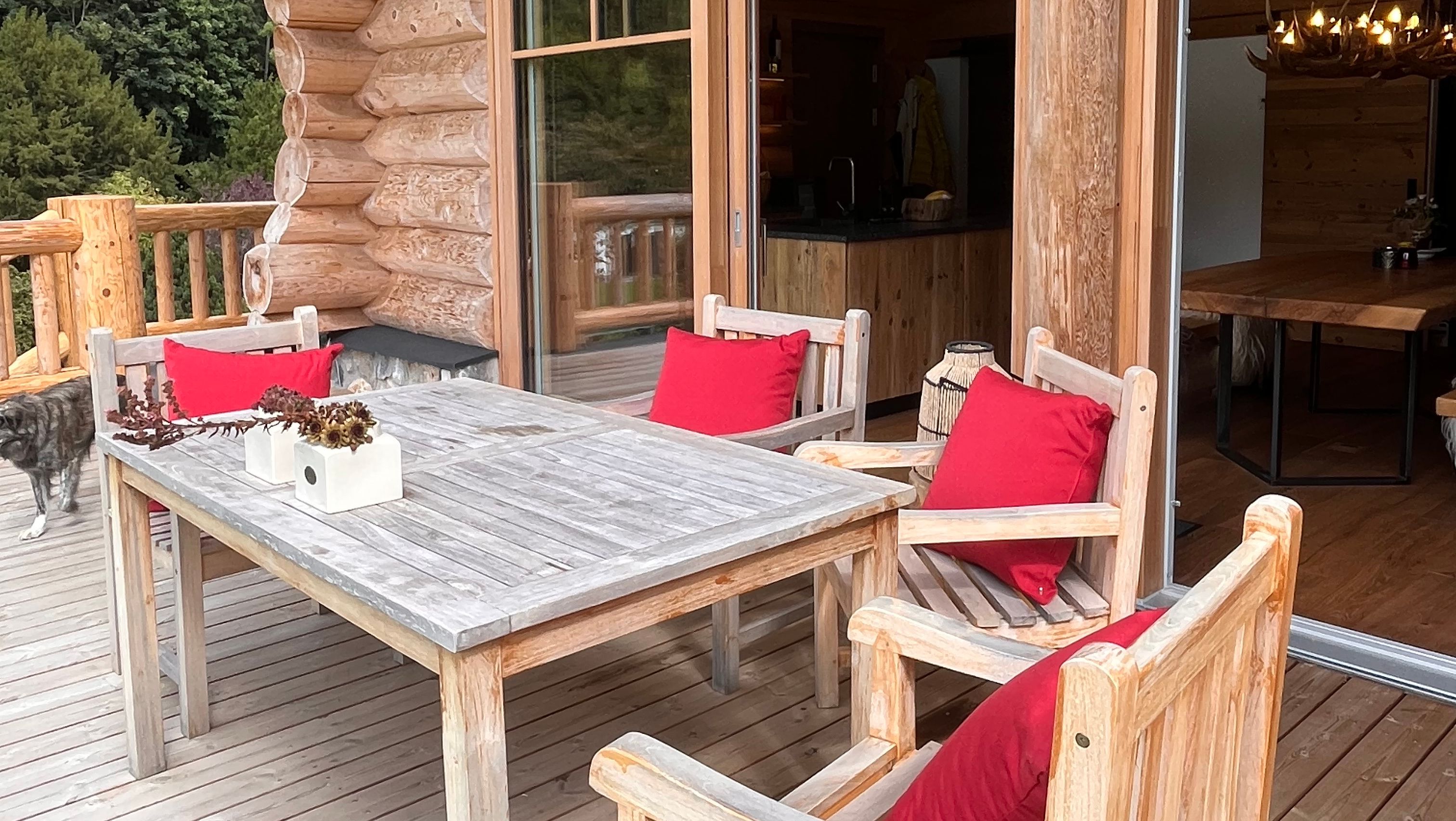 Holzterrasse mit Tisch und Stühlen, roten Kissen und einem Hund im Hintergrund.