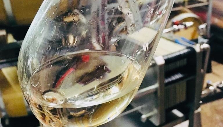 Weingut Hannes Hofer, &copy; Hannes Hofer