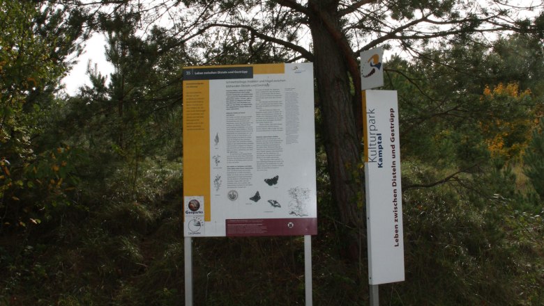 Sandgrube K&uuml;hnring, &copy; Marktgemeinde Burgschleinitz