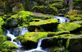 Lohnbachfall, &copy; Waldviertel Tourismus