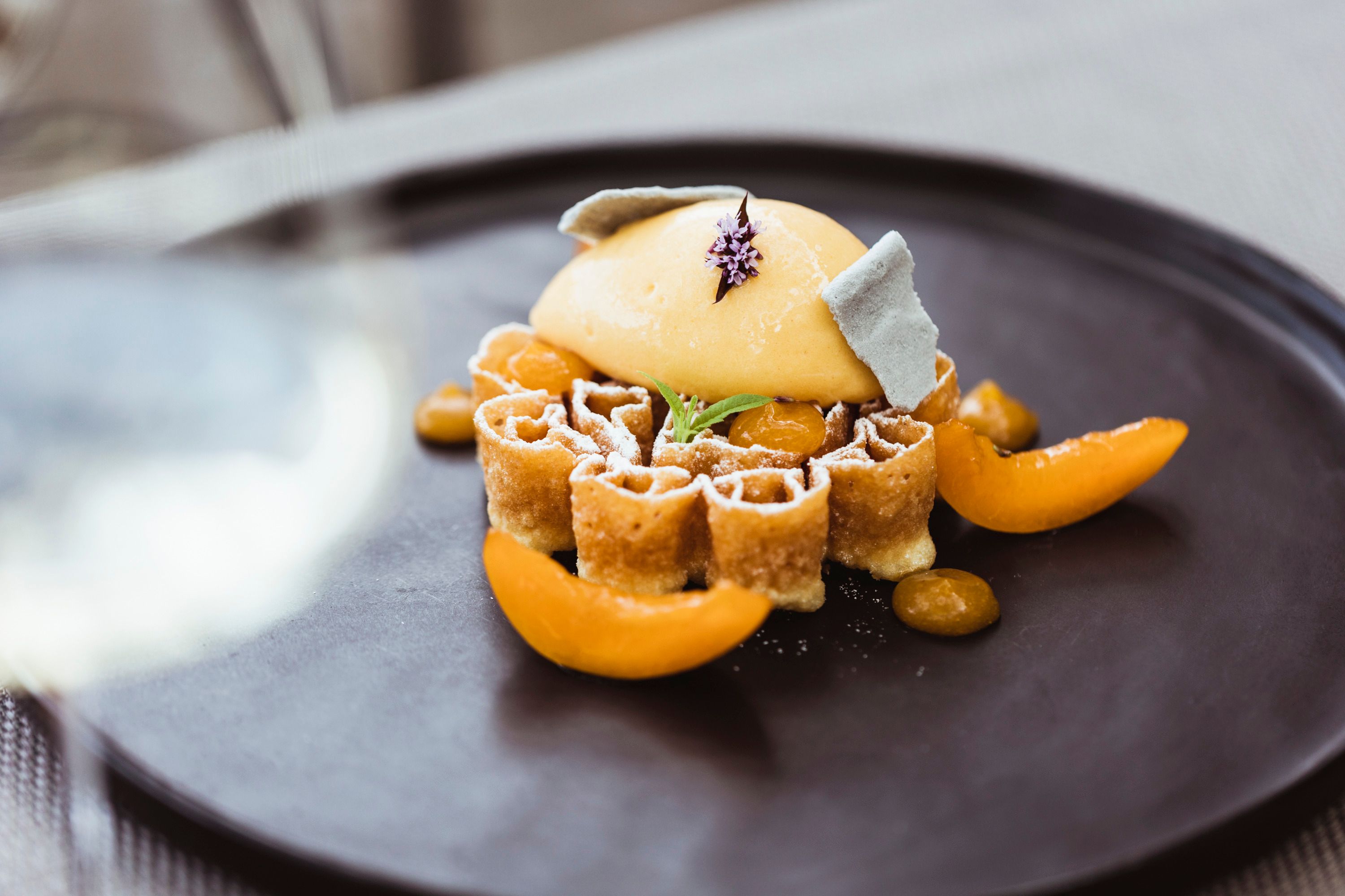 Eine kunstvoll angerichtete Waffel mit Marillensorbet und dekorativen Früchten auf einem schwarzen Teller.