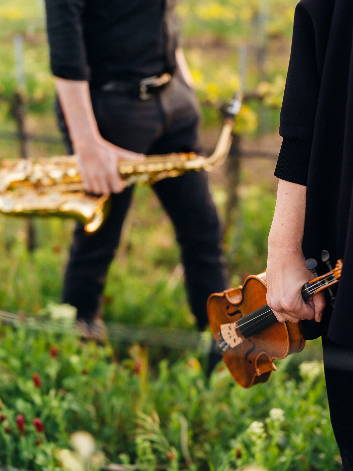 Inmitten der sanften Hügel und üppigen Weinreben erklingen die harmonischen Klänge einer Geige und eines Saxophons. Die Musiker schaffen eine festliche Atmosphäre, die die Schönheit der Natur und die Freude an der Musik vereint. Ein unvergessliches Erlebnis für alle, die die Kultur der Weinregion hautnah erleben möchten.