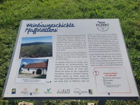 Informationsschild: Wein-Erlebnis_Die Weinbaugeschichte Pfaffst&auml;tten, &copy; Wienerwald