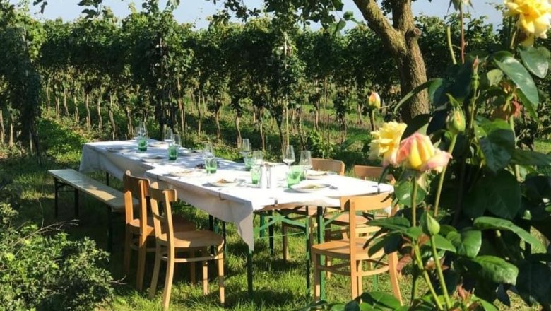 verkostung-c-peter-paraeiser, &copy; Barbara Paradeiser