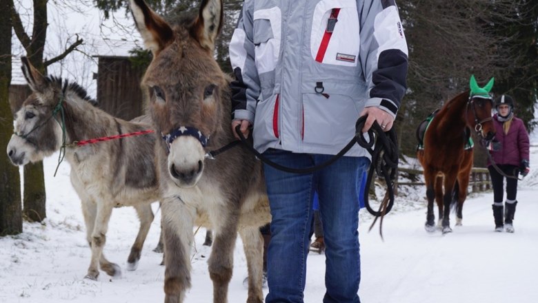 Eselwanderung, &copy; Robert Wagner