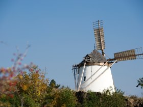 Retzer Windm&uuml;hle, &copy; Retzer Land / Himml
