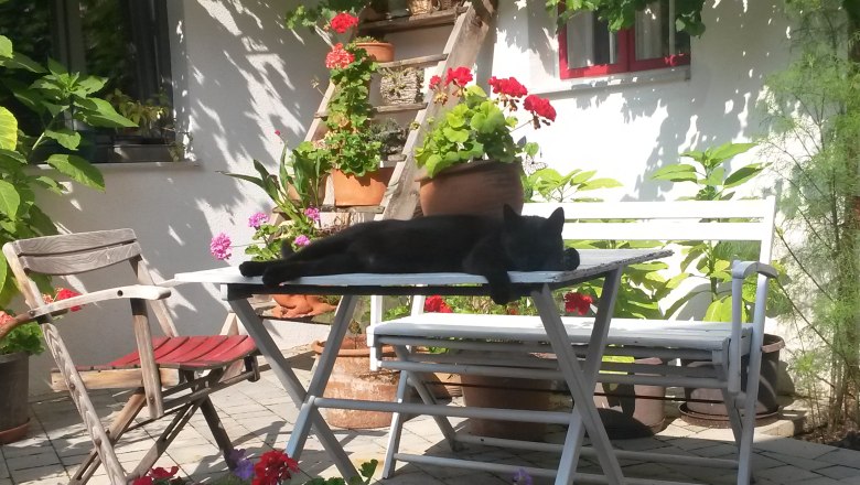 Eine schwarze Katze liegt entspannt auf einem wei&szlig;en Tisch in einem bl&uuml;henden Innenhof.