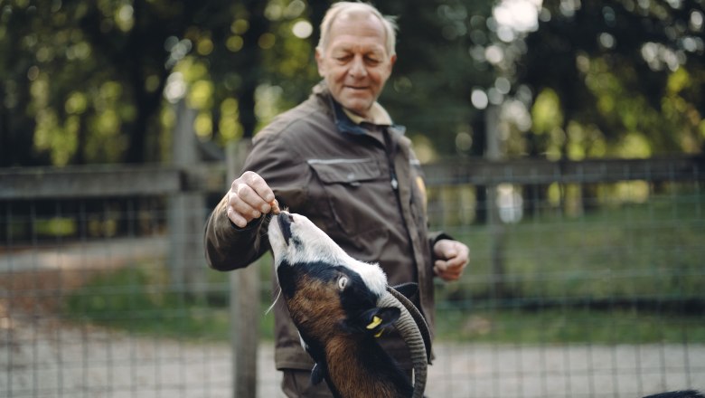 Tierpark Stadt Haag, &copy; Moststra&szlig;e, dochbodnliacht