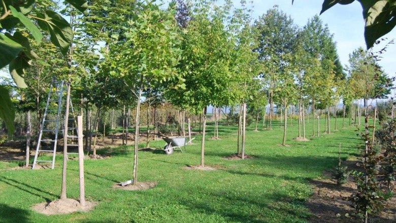 Gartengestaltung & Baumschule Huber, &copy; Gartengestaltung & Baumschule Huber