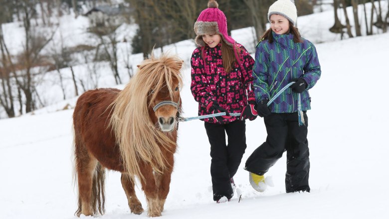 Mit dem Pony durch den Schnee stapfen!, © Niederösterreich-Werbung/Doris Schwarz-König