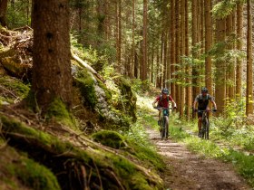 Durch die dichten Wälder des Granittrails schlängeln sich zwei Mountainbiker auf einem schmalen Pfad. Die Sonnenstrahlen brechen durch das Blätterdach und tauchen die Umgebung in ein warmes Licht, während die frische, klare Luft die Sinne belebt. Hier, inmitten der Natur, wird das Abenteuer zum unvergesslichen Erlebnis.