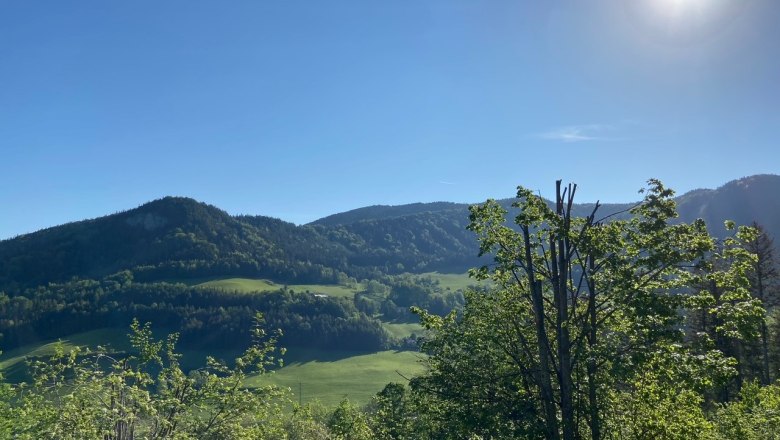 Blick auf eine gr&uuml;ne H&uuml;gellandschaft unter klarem, blauem Himmel mit strahlender Sonne.