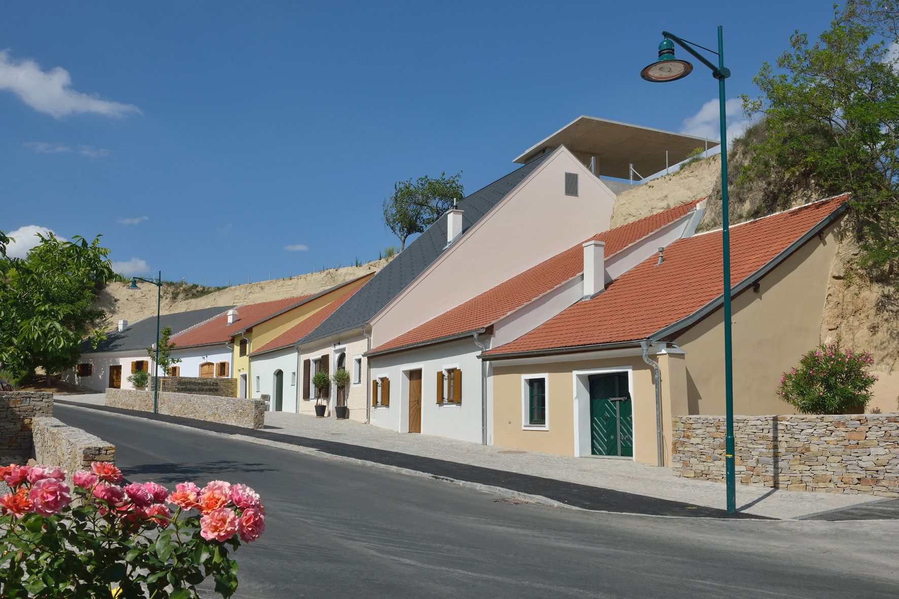 Reihe bunter Weinkeller in Krems, Österreich, mit blühenden Rosen im Vordergrund.