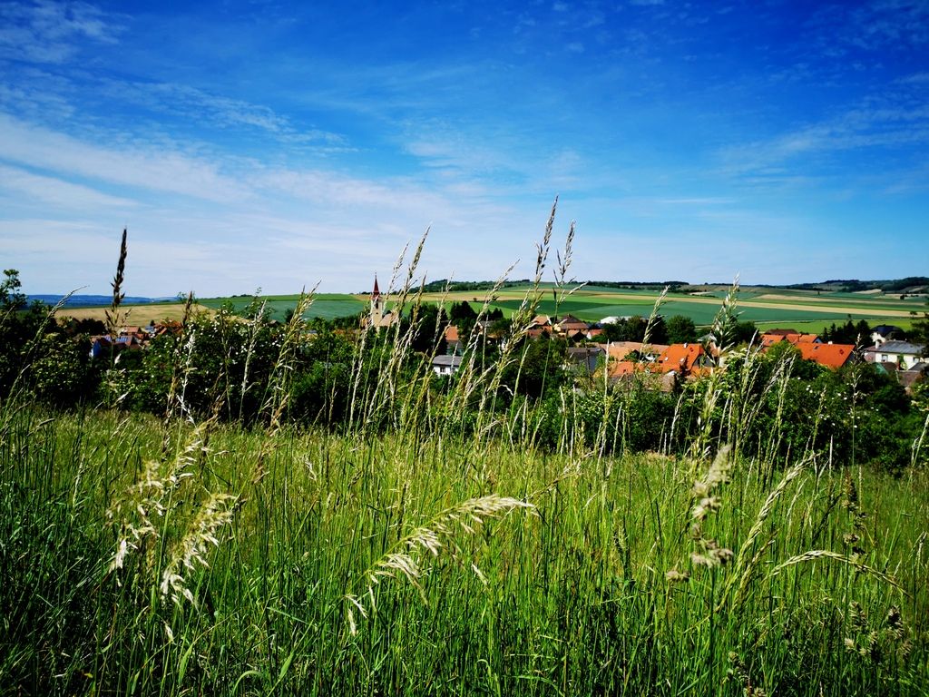 Landschaft mit Wiese, Dorf und Hügeln im Hintergrund unter blauem Himmel.