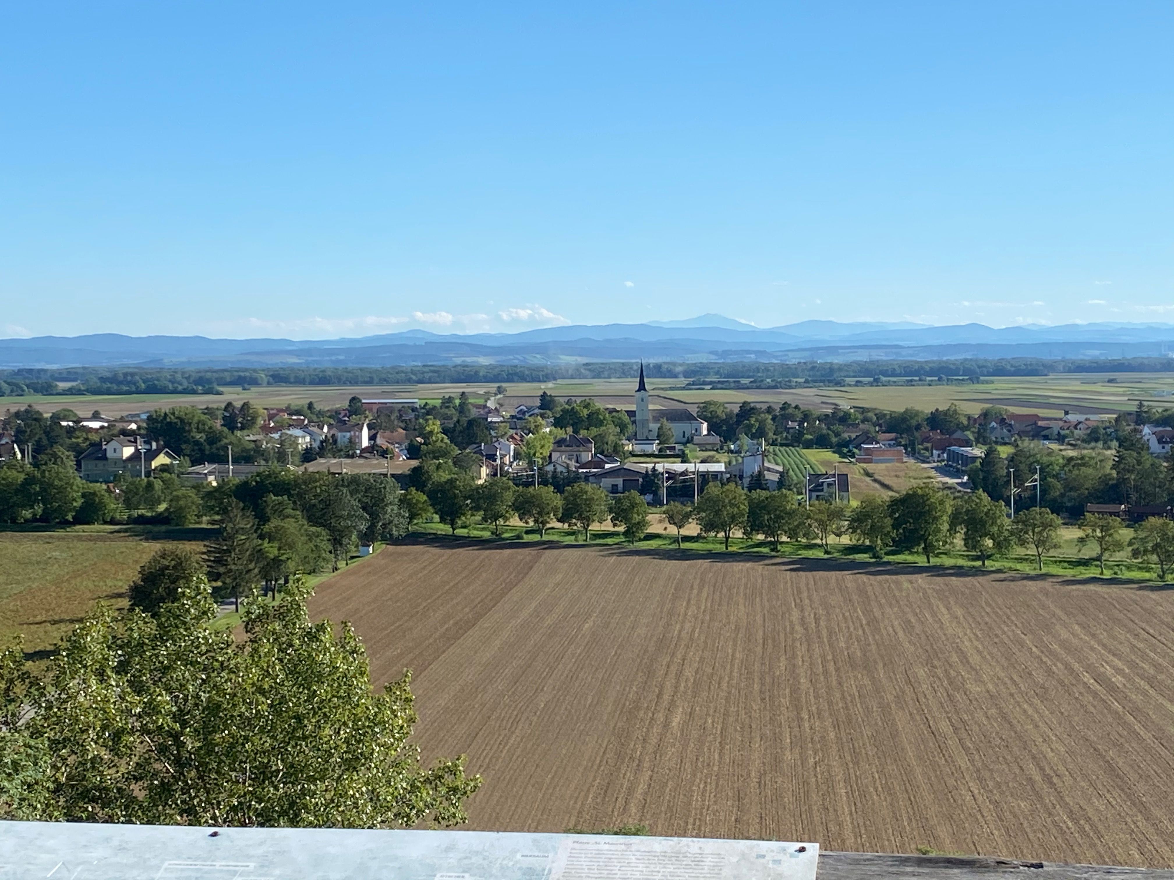 Blick von einer hölzernen Aussichtsplattform über Weingärten und sanfte Hügel rund um Absdorf; weite Landschaft und klare Sicht.