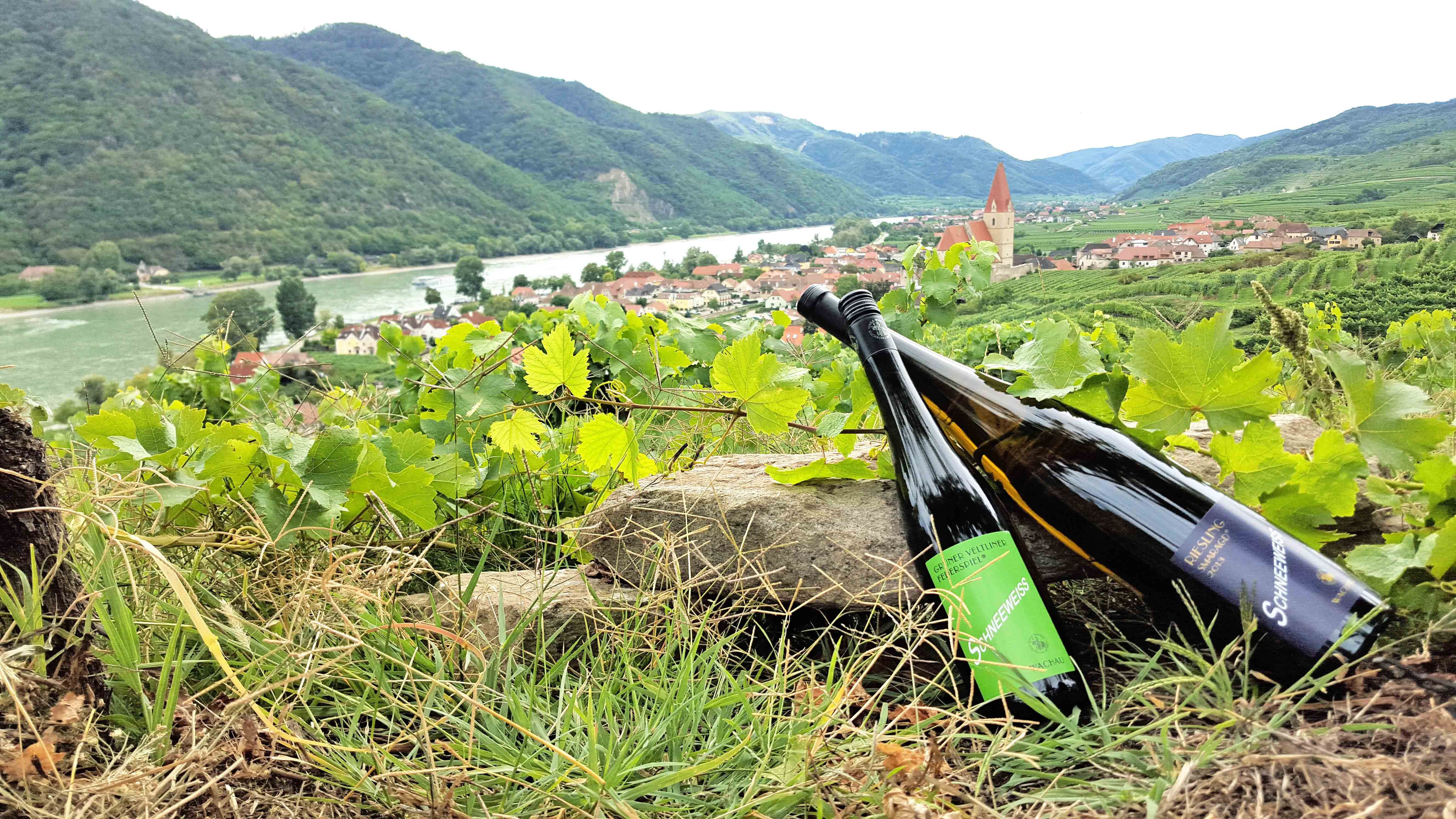 Zwei Weinflaschen im Weingarten mit Blick auf Fluss und Dorf.