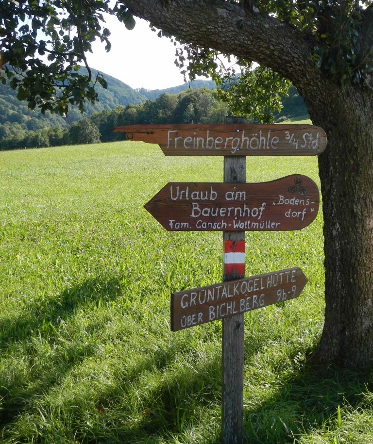 Wegweiser zur Freinberghöhle und anderen Zielen auf einer Wiese.