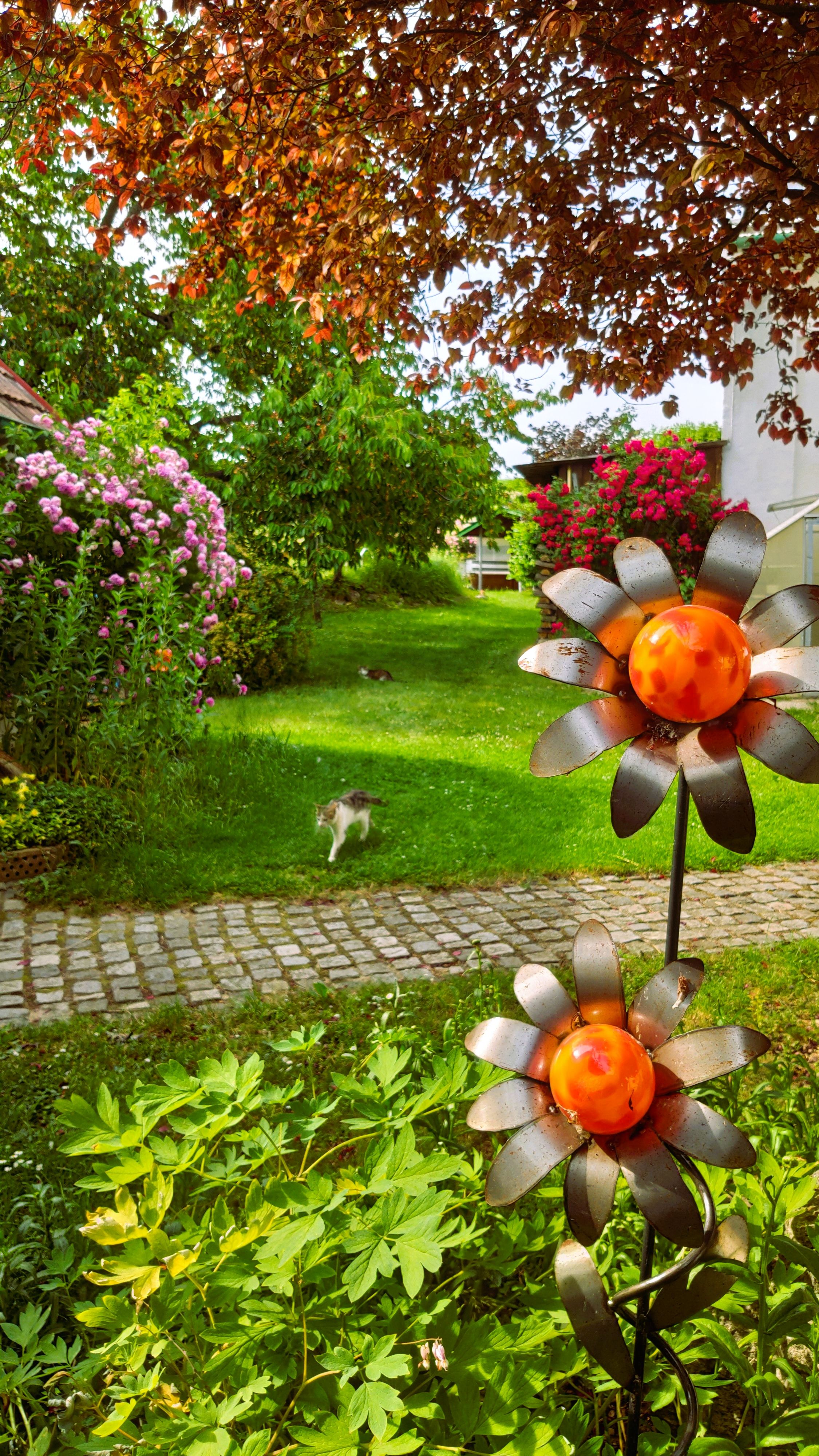 Ein Garten mit Blumen, einer Katze und Metallblumen.