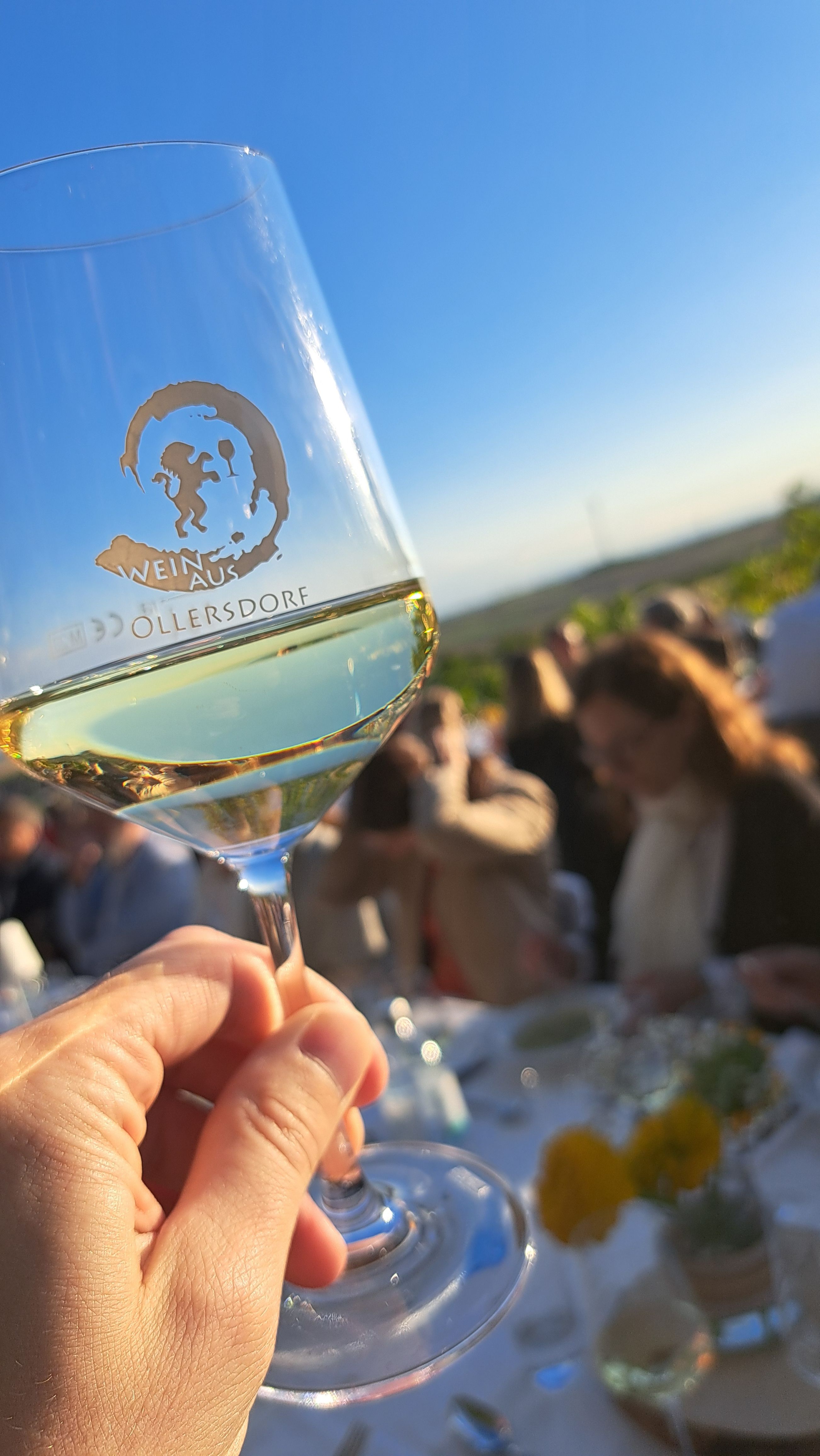 Ein Weinglas mit der Aufschrift 'Wein aus Ollersdorf' wird in der Hand gehalten, im Hintergrund eine Gruppe von Menschen bei einem Outdoor-Event.