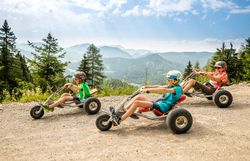 Drei Mountaincart-Fahrer auf der Gemeindealpe MItterbach mit Bergpanorama im Hingergrund
