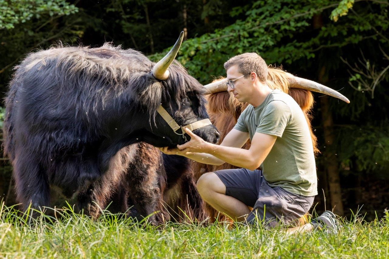 Craftbeef von Brandstatten