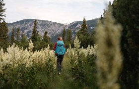 Frau wandert auf einem Weg, hohe Gräser.
