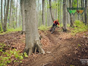 Sauberg Trail, © Wienerwald Tourismus / Wienerwald Trails