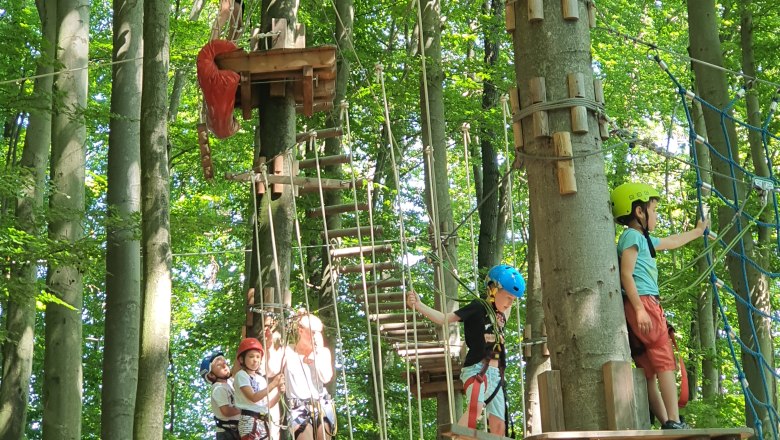 Kletterpark Purkersdorf, © Kletterpark Purkersdorf