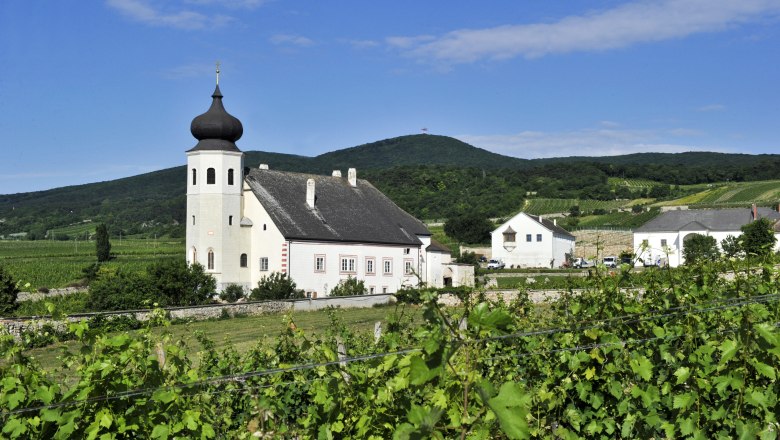 Weinberge und Kirche in Thallern vor einer Hügelkulisse.