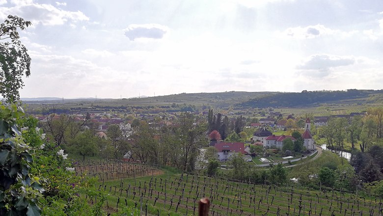 Blick auf Zöbing mit Weinbergen und Kirche im Vordergrund.