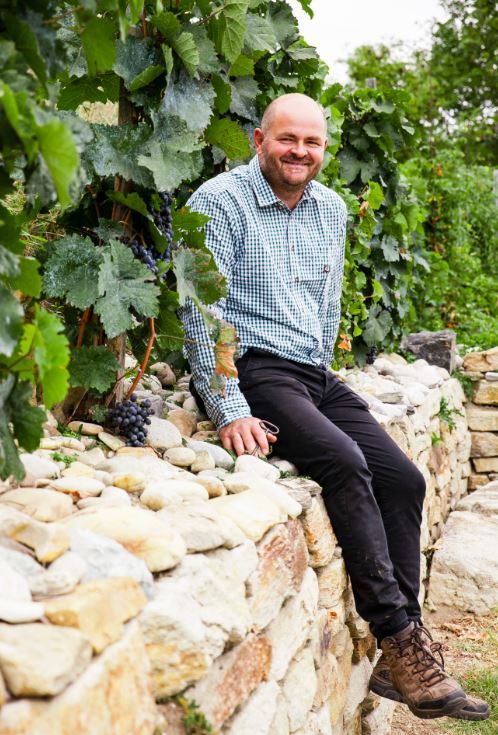 Weingut Triesneckerhof