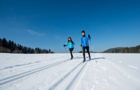 Langlaufen Waldviertel, &copy; Waldviertel Tourismus, ishootpeople.at