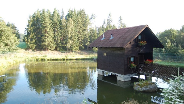 Ein kleines Holzhaus steht auf Stelzen in einem Teich, umgeben von Bäumen und Natur.