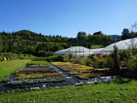 G&auml;rtnerei Weitzenb&ouml;ck mit St. Anna Kirche, &copy; Gottfried Grossinger