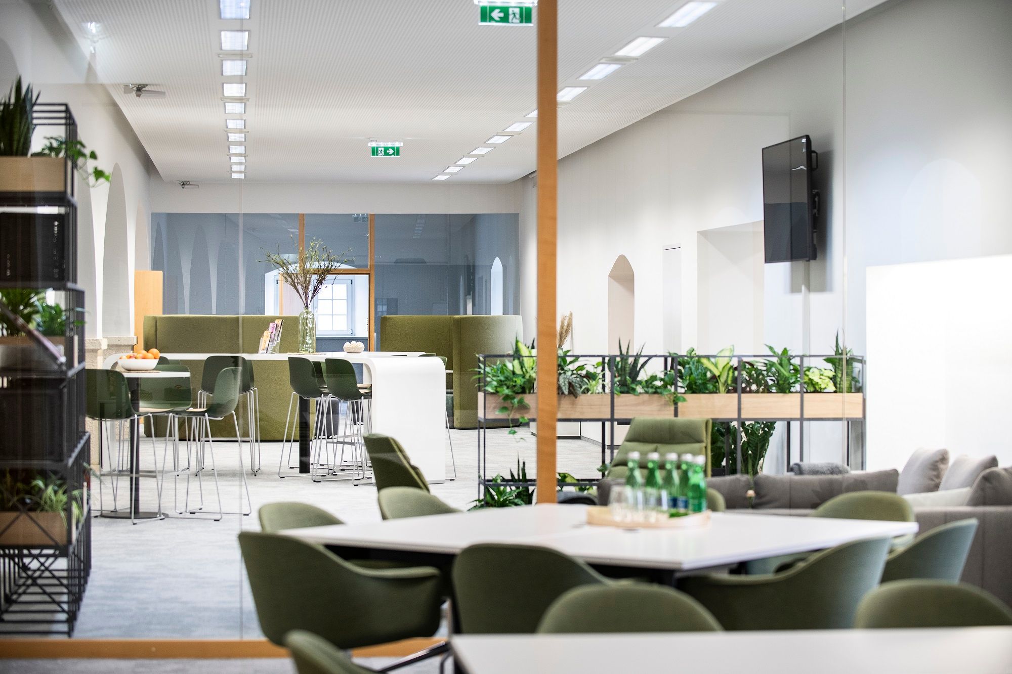 Modernes Büro mit grünen Stühlen, Pflanzen und Tischen.