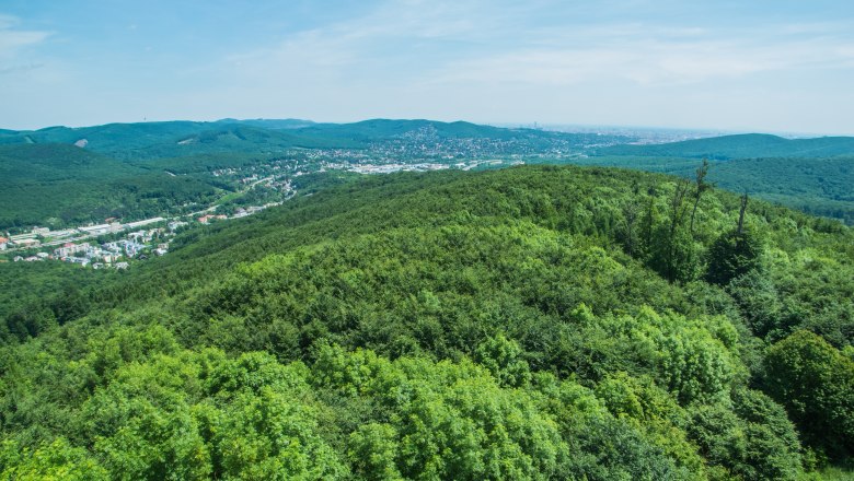 Panoramablick von der Rudolfswarte auf bewaldete Hügel und eine Stadt im Hintergrund.