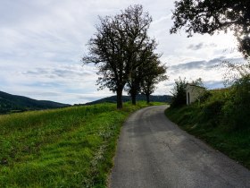 Weg nach P&ouml;ggstall, &copy; Gottfried Grossinger