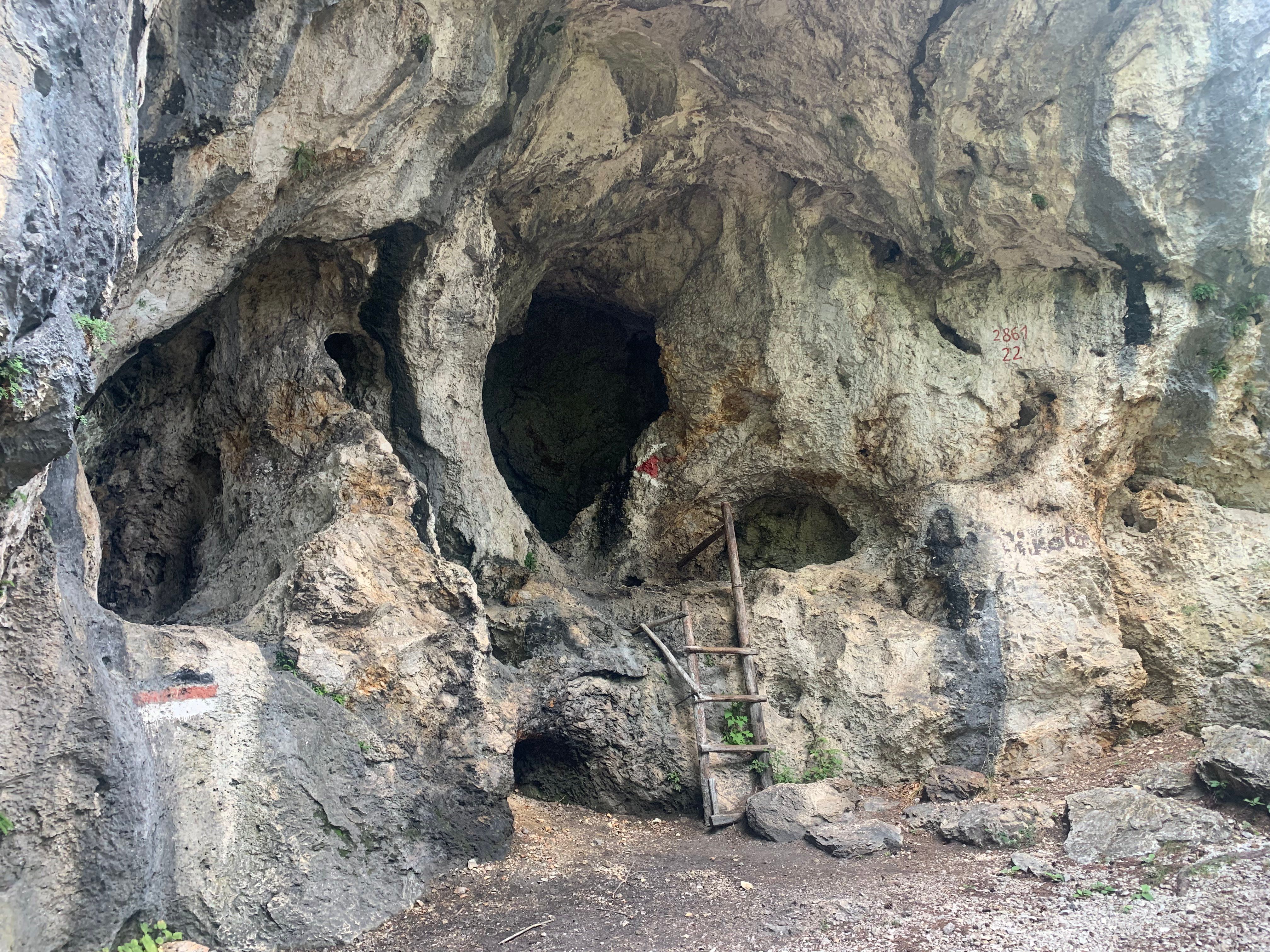 Felswand mit Löchern und einer Holzleiter.