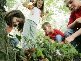 Kinder, &copy; weinfranz.at