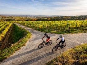 Weinberg-Strecke, &copy; POV