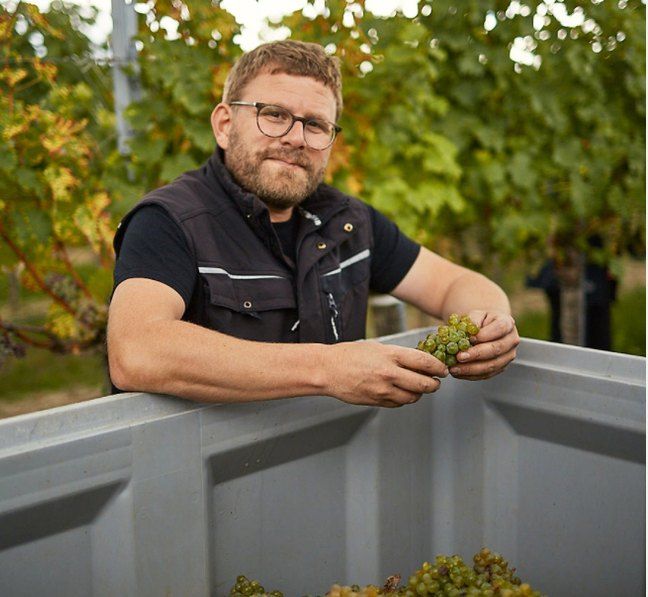 Mann mit Brille hält Trauben in einem Weinberg.