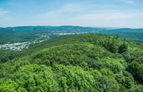 Panoramablick von der Rudolfswarte auf bewaldete Hügel und eine Stadt im Hintergrund.